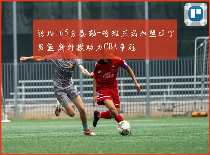 场均165分泰勒-哈维正式加盟辽宁男篮 新外援助力CBA争冠