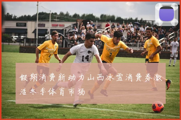 假期消费新动力山西冰雪消费券激活冬季体育市场